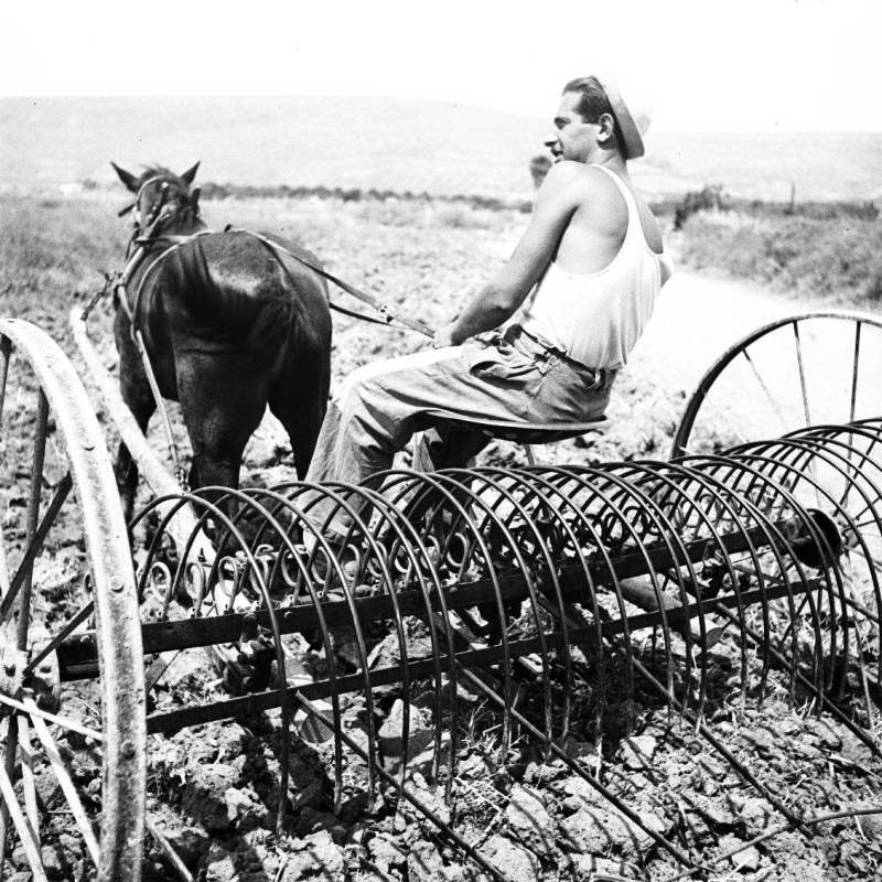 שוטים ועקרבים